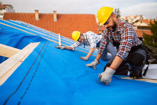 Best Metal Roofing Contractor  in Castle Pines, CO