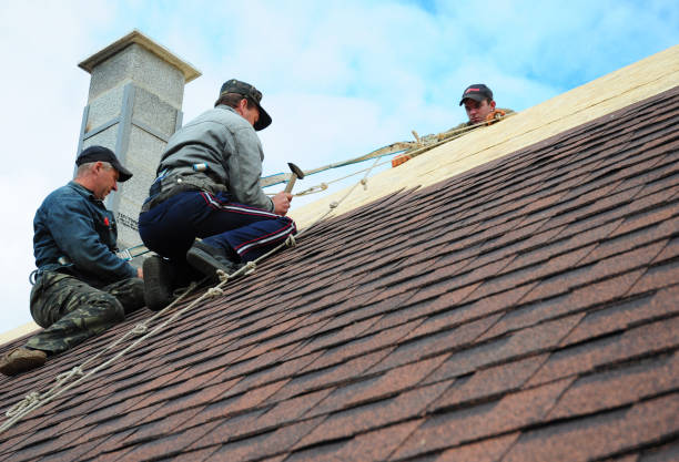 Quick and Trustworthy Emergency Roof Repair Services in Castle Pines, CO